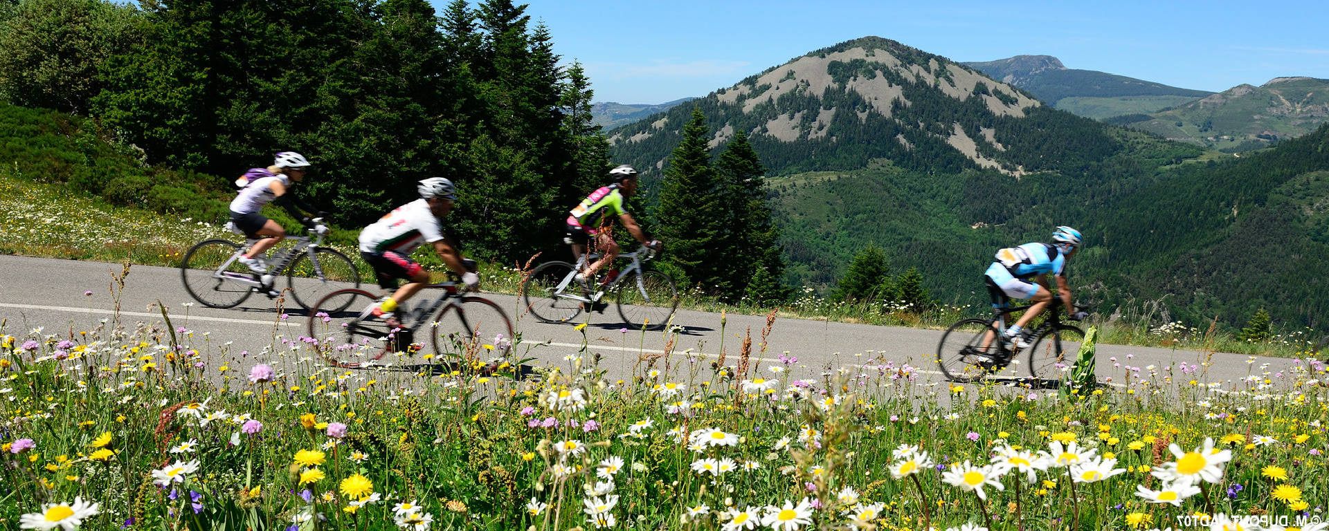 cyclistes sur la routes des joncs, en vélo sur l'Ardèchoise entre fleurs et montagne
