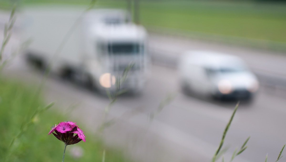 Pollution from vehicles and roads / Photo Realworkhard