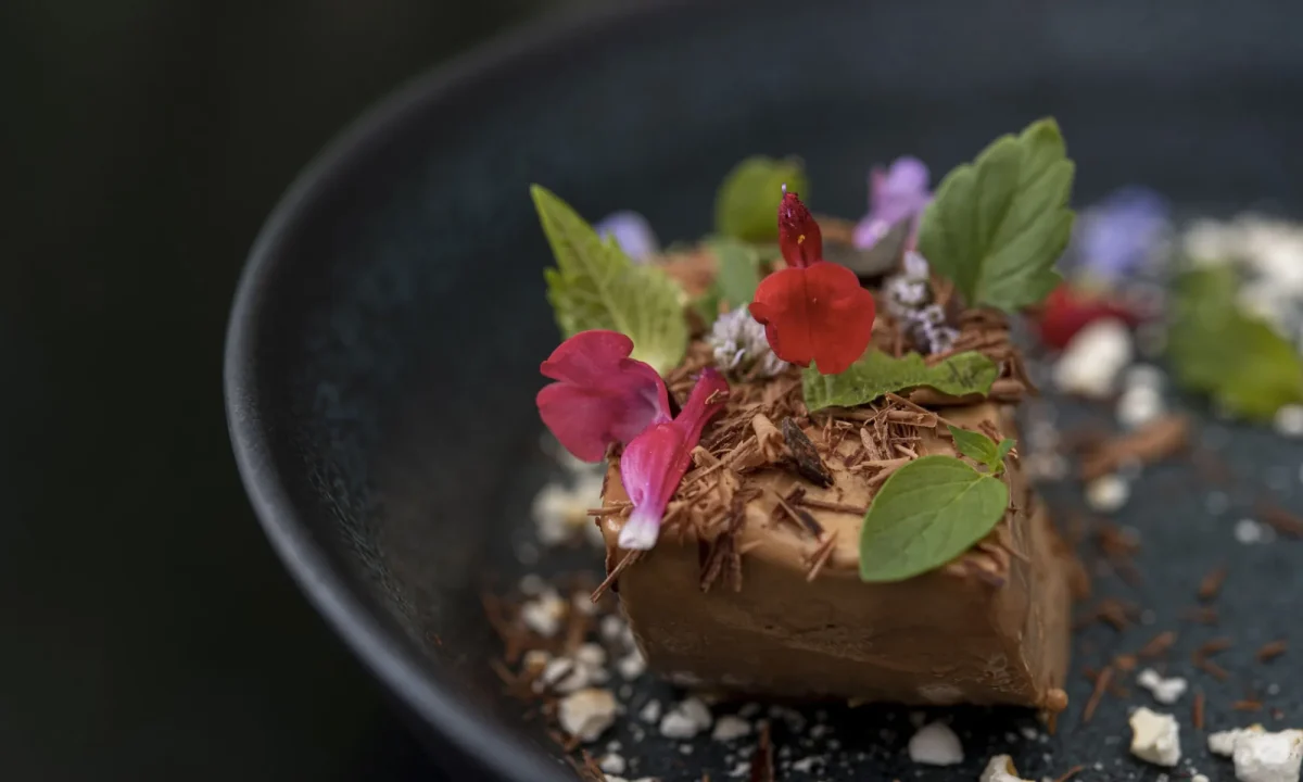 Création Radicelles / Photo Anne Bouillot 