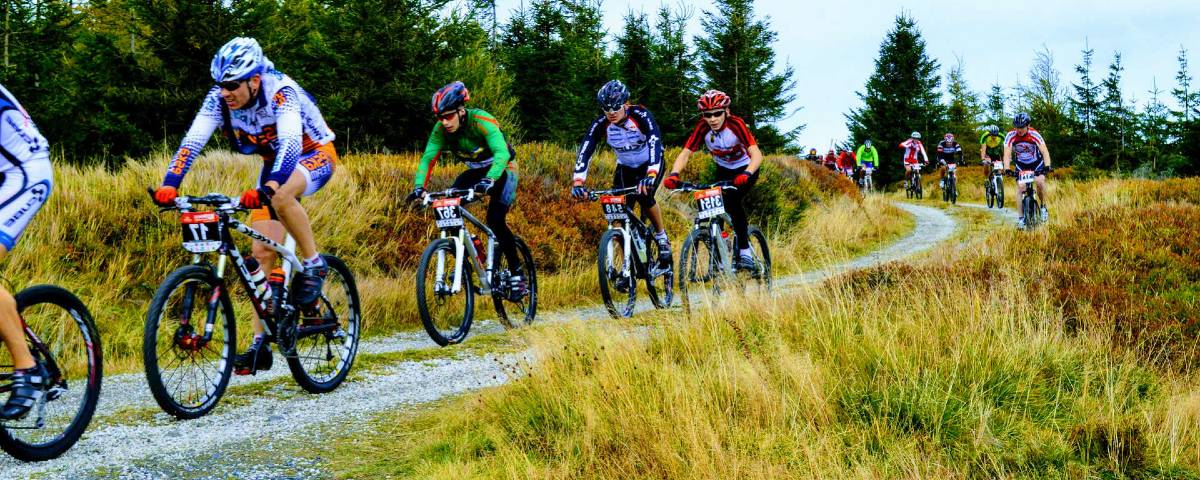 GTA, the Great Ardèche Mountain Bike Crossing: a group of cyclists on a tree-lined trail in the Ardèche mountains