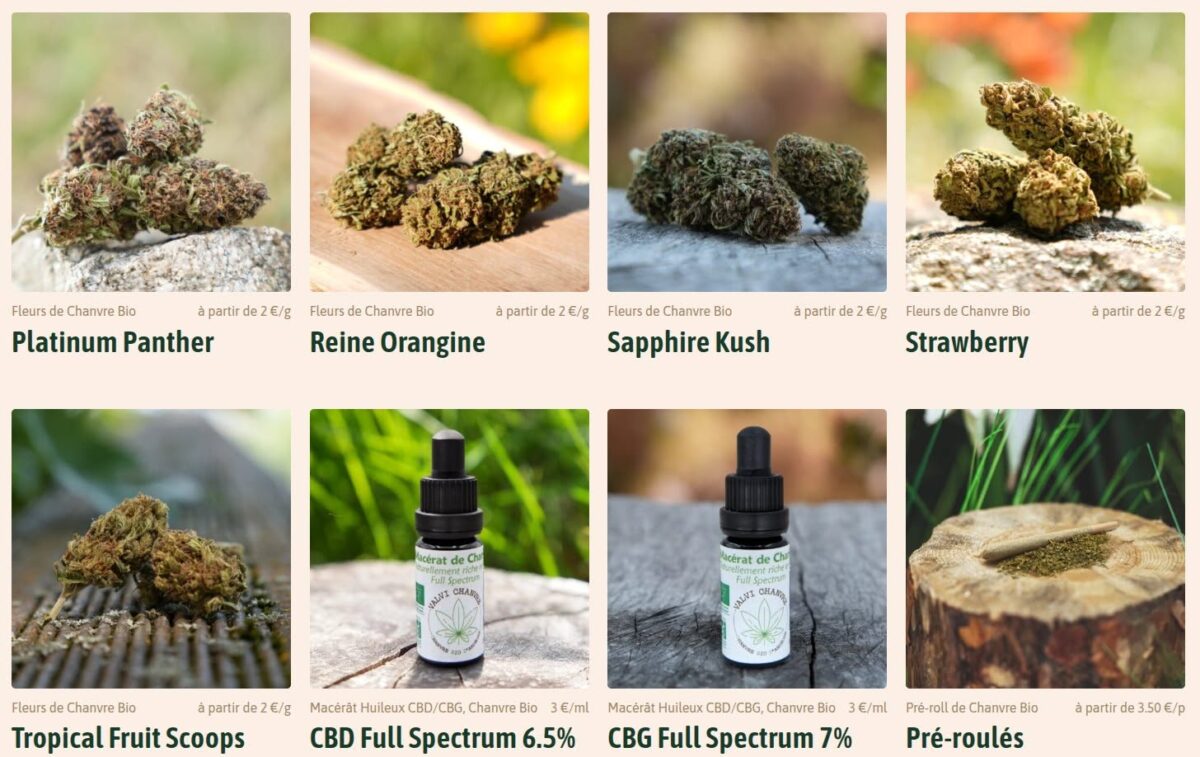 Boutique Valvichanvre : macérat huileux  et fleurs de CBD issues de chanvre biologique