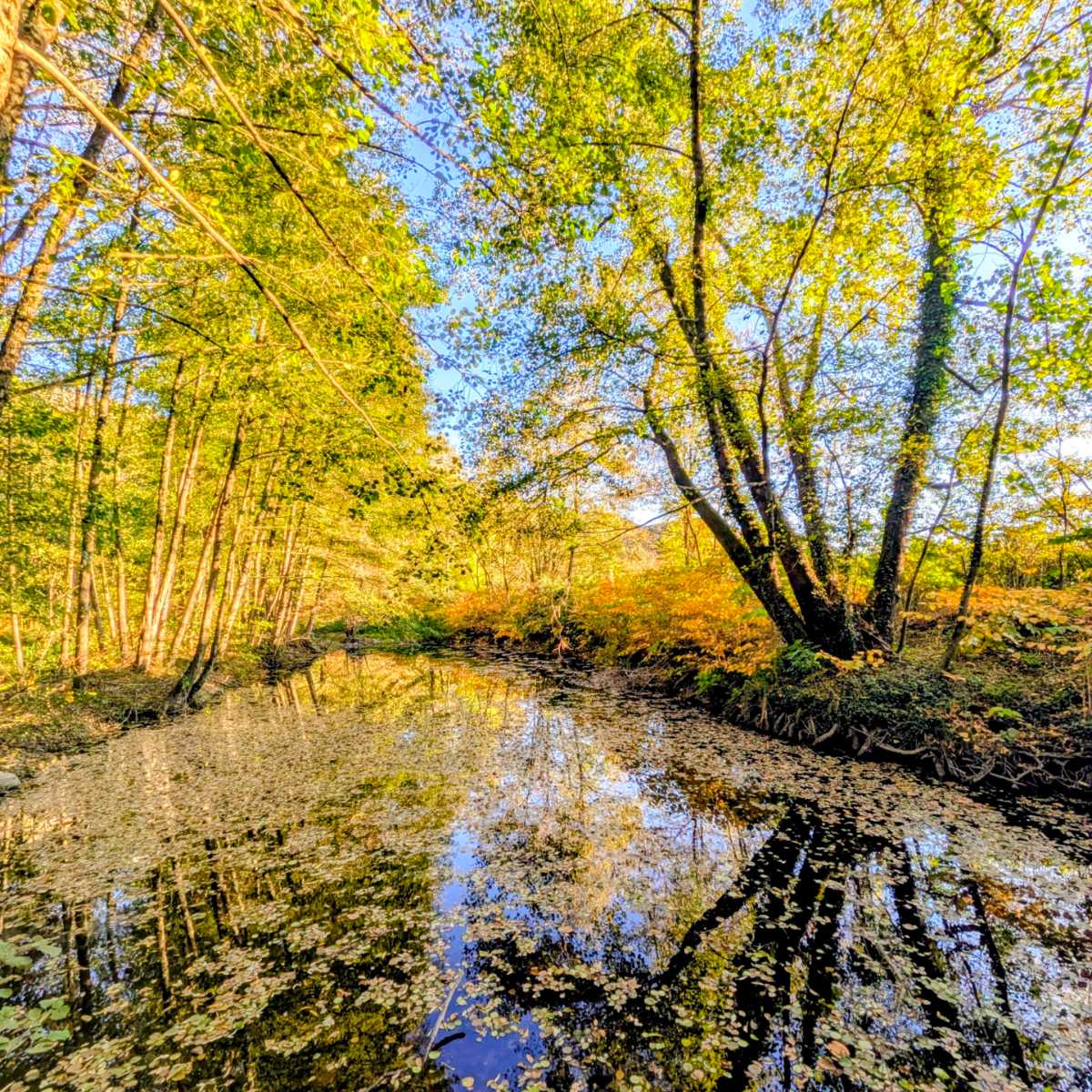 Lone de la riviere Ardeche en automne